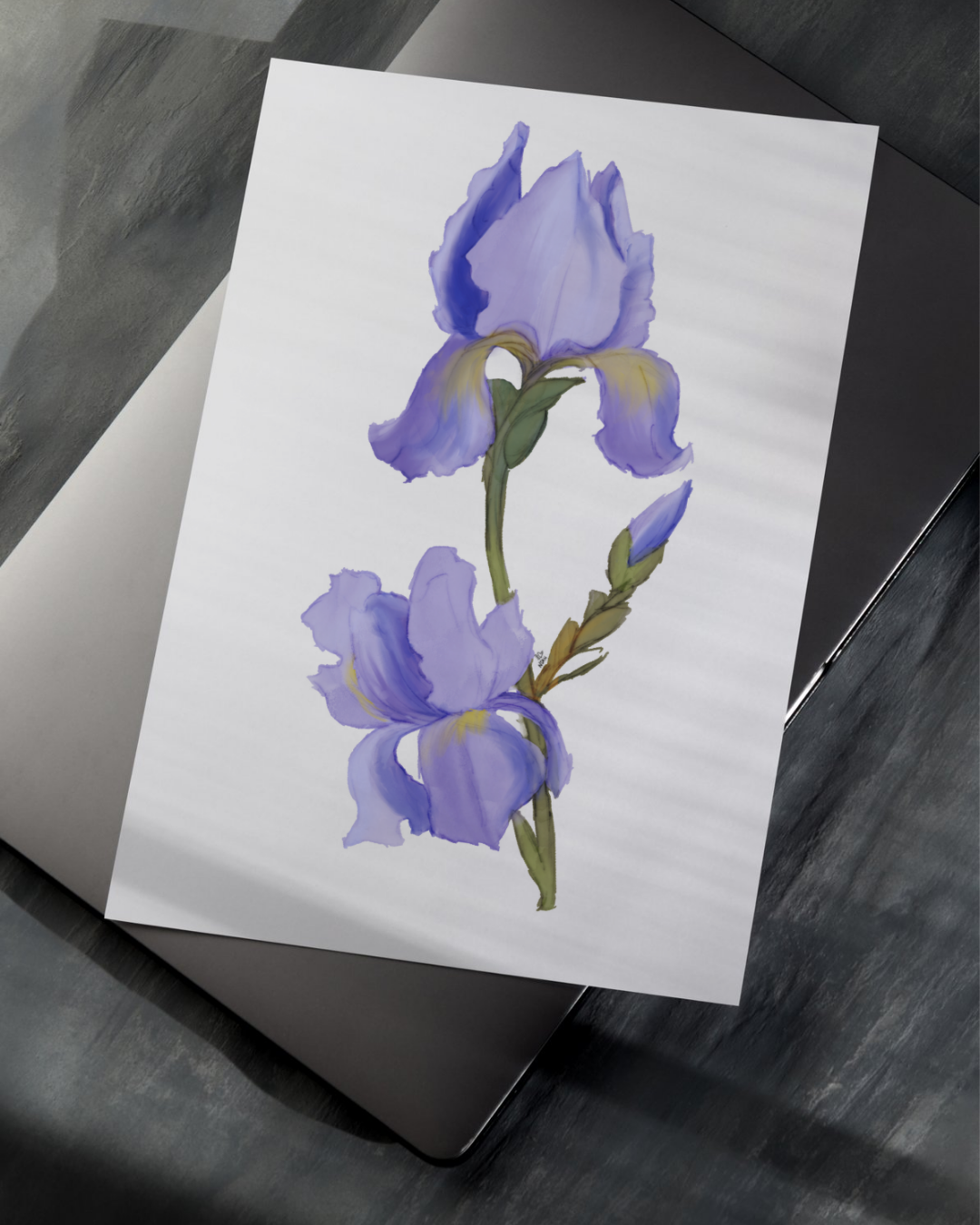 Iris, Floral Art Print